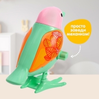 Игрушка заводная &laquo;Яркая птичка&raquo;, МИКС