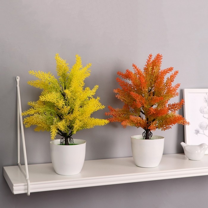 Бонсай в горшке Бонсай в горшке "Кипарисовик" 9х30 см, микс