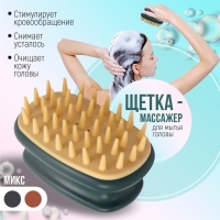 Щётка - массажёр для мытья головы, 10 &times; 6 &times; 6,2 см, в блистере, цвет МИКС