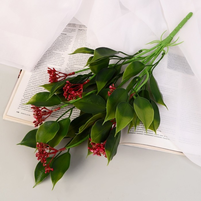 Букет Букет "Хойя публикалис" 32 см, микс