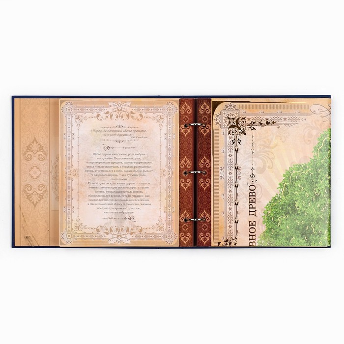 Родословная книга с рамкой под фото &laquo;Родословная книга&raquo;, 50 листов, 21,5 х 23,7 см.