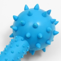 Игрушка жевательная "Грозная гантель", 15 х 5 см, синяя Игрушка жевательная "Грозная гантель", 15 х 5 см, синяя