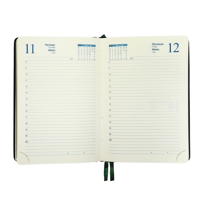 Ежедневник датированный 2025 года, A5, 168 листов в линейку, кожзам "Небраска", золотой срез, зеленый