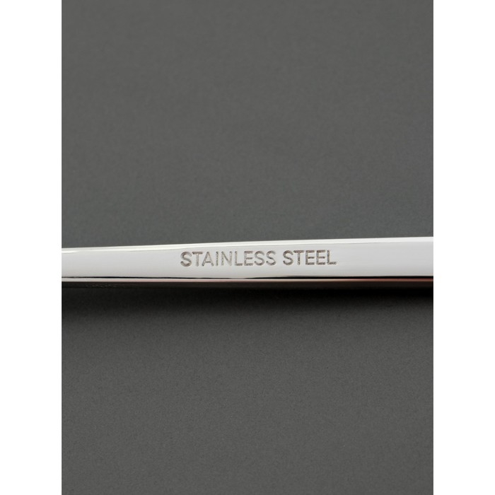 Ложка столовая из нержавеющей стали Magistro Gamburg, длина 20 см, толщина 4 мм, цвет серебряный