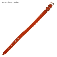 Ошейник кожаный на синтепоне, 45 х 2 см, ОШ 25-35 см, оранжевый Ошейник кожаный на синтепоне, 45 х 2 см, ОШ 25-35 см, оранжевый