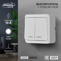 Выключатель Luazon Lighting "Лига", 10 А, 2 клавиши, накладной, c подсветкой, белый Выключатель Luazon Lighting "Лига", 10 А, 2 клавиши, накладной, c подсветкой, белый