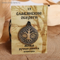 Славянский оберег из ювелирной бронзы &laquo;Жива&raquo; (помогает развить лидерские качества, приносит прибыль и финансовую независимость), 68 см