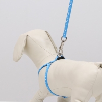 Комплект "Классика", капрон, поводок 120 х 1 см, ОГ 21-35 см, голубой Комплект "Классика", капрон, поводок 120 х 1 см, ОГ 21-35 см, голубой