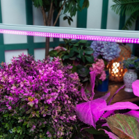 Фитосветильник светодиодный Uniel, 35 Вт, 1150 мм, IP40, 220 В, мультиспектральный, с выкл. Фитосветильник светодиодный Uniel, 35 Вт, 1150 мм, IP40, 220 В, мультиспектральный, с выкл.