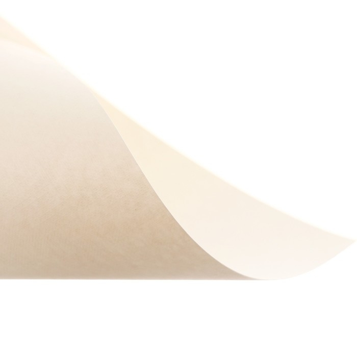 Бумага для пастели А4, 10 листов, Бумага для пастели А4, 10 листов, "Архитектура", бумага слоновая кость, ГОЗНАК, тиснение "холст", блок 200 г/м2, в папке