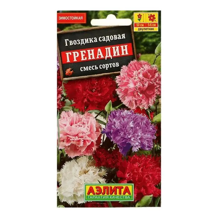 Семена цветов Гвоздика Семена цветов Гвоздика "Гренадин", турецкая, 0,05 г