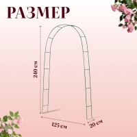 Арка садовая, 240&times;125&times;20 см, для вьющихся растений, металлическая, зелёная