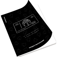 Комплект предметных тетрадей 48 листов, 12 штук, ErichKrause "Зри в корень", пластиковая обложка, шелкография, блок офсет 100% белизна, инфо-блок