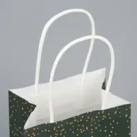 Пакет подарочный крафтовый &laquo;Рамадан&raquo;, 12 х 21 х 9 см