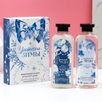 Подарочный набор &laquo;Уютной зимы&raquo;: гель для душа и шампунь для волос, 2&times;250 мл, Чистое счастье