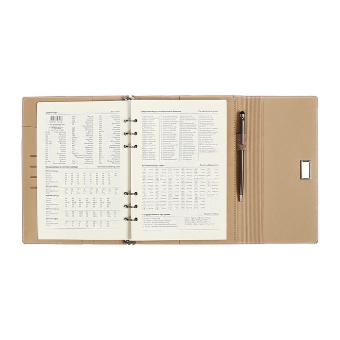 Органайзер на кольцах А5, 100л, линия, к/зам, с ручкой, в подар. короб., Серый