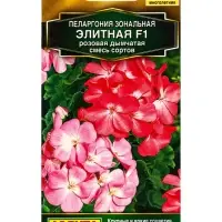Семена цветов Пеларгония Элитная F1 розовая дымчатая, смесь сортов Мн Золотая серия, Ц/П,5 шт. 10945