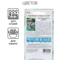 Семена цветов Мимоза "Лирика", стыдливая, розовая, Евро, 0,1 г