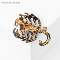 Брошь &laquo;Скорпион&raquo;, цвет чёрный в золоте