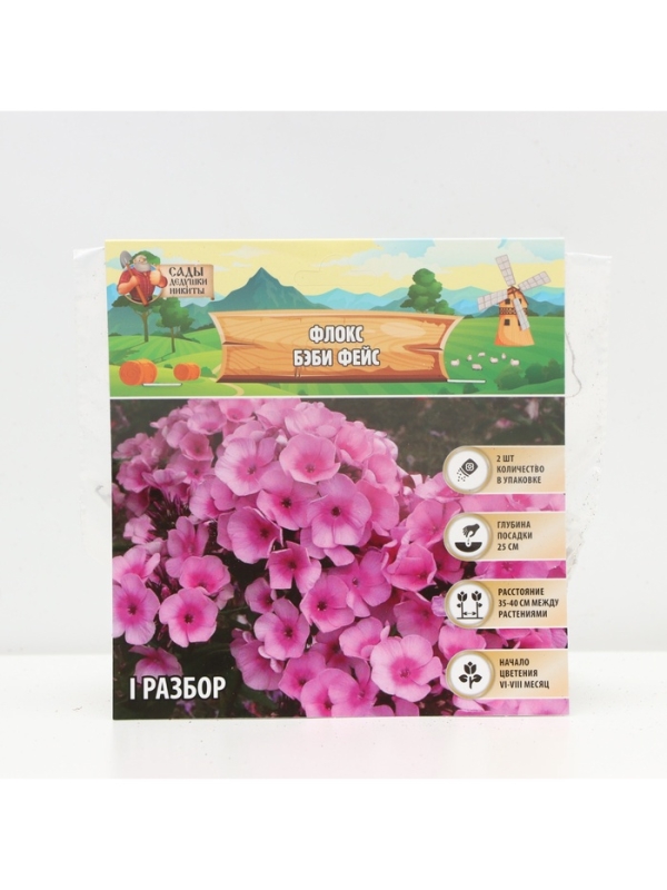 Флокс &laquo;Бэби Фейс&raquo; корневище в пакете с торфогрунтом, р-р I, 2 шт.