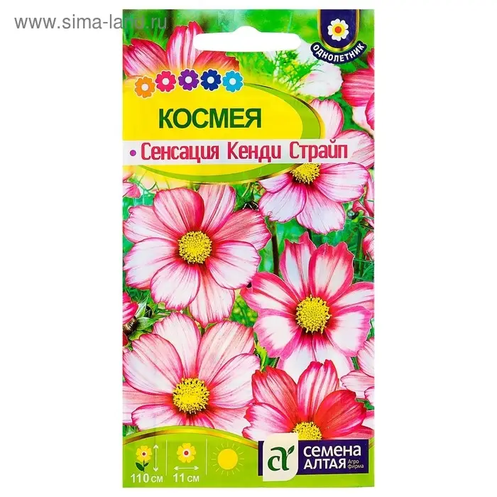 Семена цветов Космея "Сенсация" Кенди Страйп, О, ц/п, 0,5 г