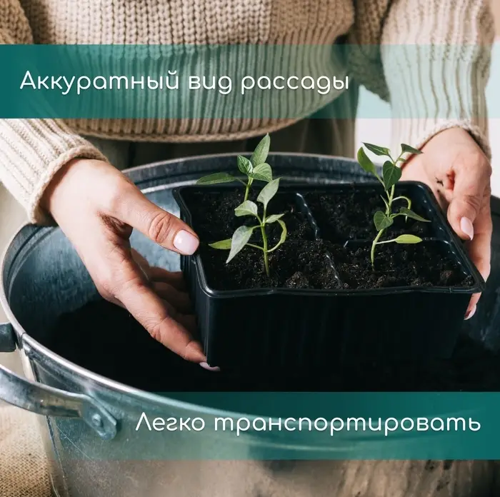 Кассета для рассады, 50 ячеек по 75 мл, пластик, чёрная, 56&times;29.5&times;4 см, Greengo