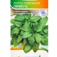 Семена Мелисса "Свежесть" 0,1 г