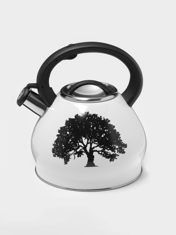 Чайник со свистком из нержавеющей стали Доляна Magic forest, 3 л, с индикатором нагрева, индукция