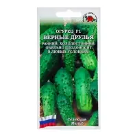 Семена Огурец "Верные друзья F1", раннеспелый, 0,15 г