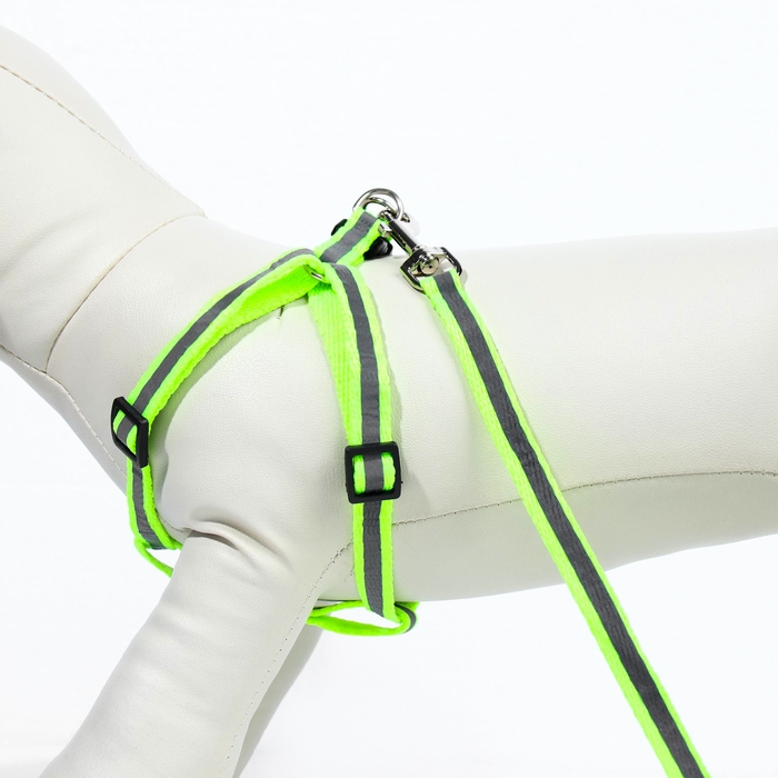 Комплект со светоотражающей лентой, ошейник 120 х 1 см, ОГ 26-40 см, зеленый