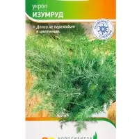 Семена Укроп "Изумруд" 2 г