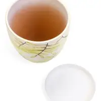 Горшок цветочный поддоном  2,5 л,  керамика, Тропики (М)