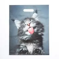 Пакет &laquo;Кот&raquo;, полиэтиленовый с вырубной ручкой, 30&times;40 см, 50 мкм