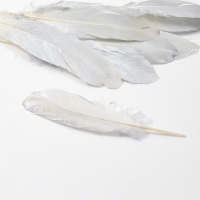 Перья для декора, серебро полная окраска , 13-15 см 10 шт