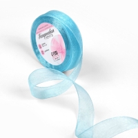 Лента капроновая, 20 мм, 20 &plusmn; 1 м, цвет тёмно-голубой