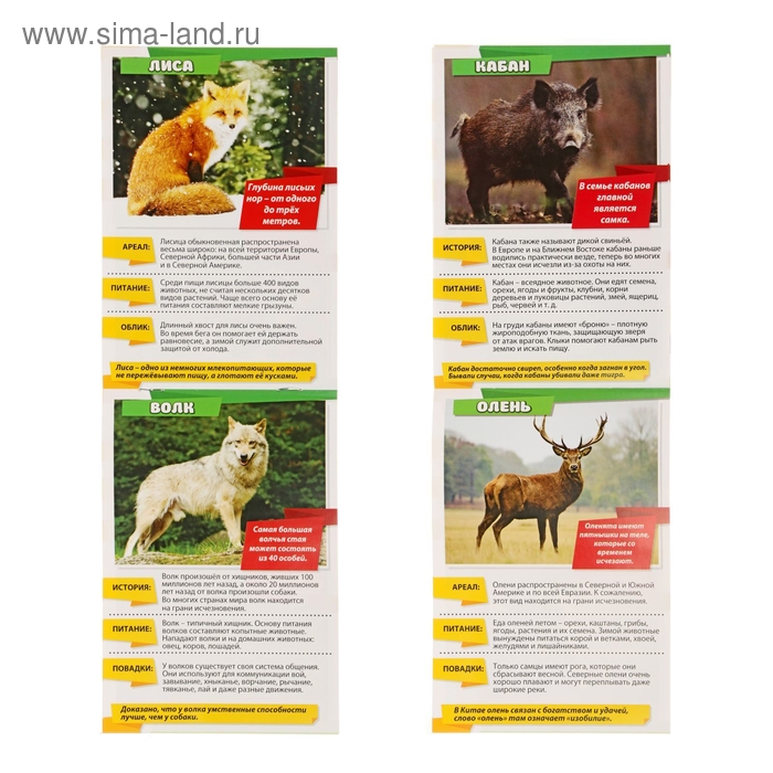 Мини-энциклопедии набор &laquo;Узнаём про всё вокруг. Живая природа&raquo;, 8 шт. по 20 стр.