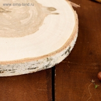 Спил берёзы, шлифованный с одной стороны, диаметр 18-22 см Спил берёзы, шлифованный с одной стороны, диаметр 18-22 см