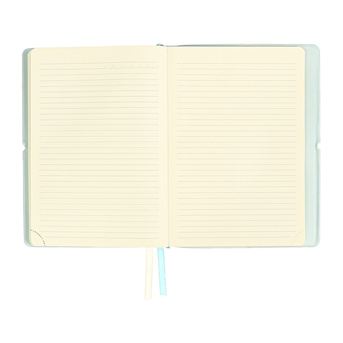 Ежедневник недатированный A5 136 листов deVENTE. Jane, мягкая обложка пвх, резинка, перфорация, ляссе, блок 70, голубой