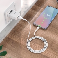 Сетевое зарядное устройство Hoco N9, USB - 2.1 А, кабель microUSB 1 м, белый