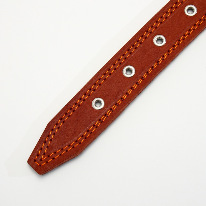 Ошейник кожаный на фетре украшеный, 65 х 3,5 см, ОШ 50-60 см, коричневый Ошейник кожаный на фетре украшеный, 65 х 3,5 см, ОШ 50-60 см, коричневый