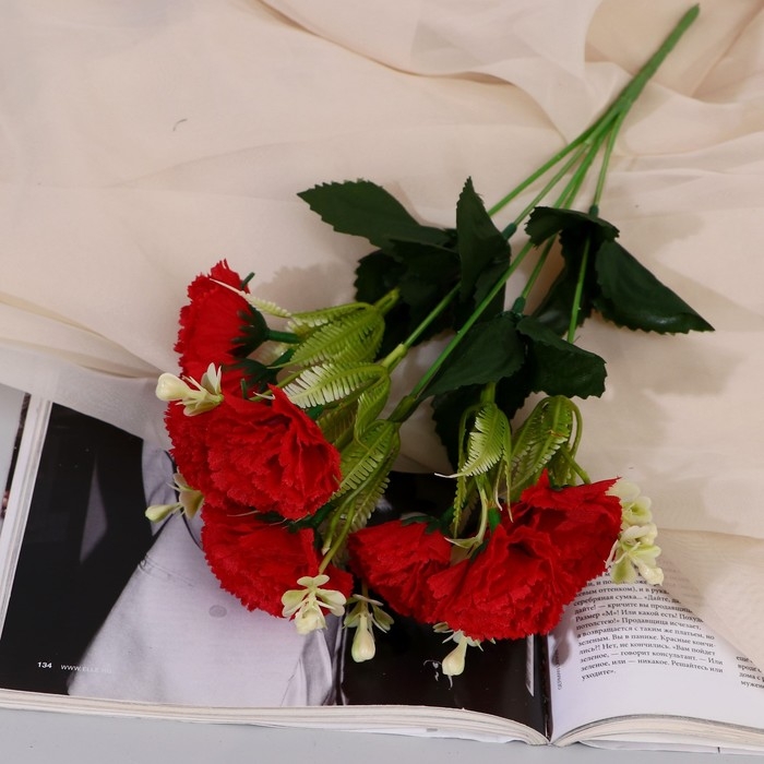 Букет Букет "Гвоздика Айрис" 4х31 см, микс