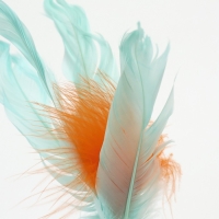 Игрушка-неваляшка "Перьевой фонтан" для кошек, 20 см, микс цветов Игрушка-неваляшка "Перьевой фонтан" для кошек, 20 см, микс цветов