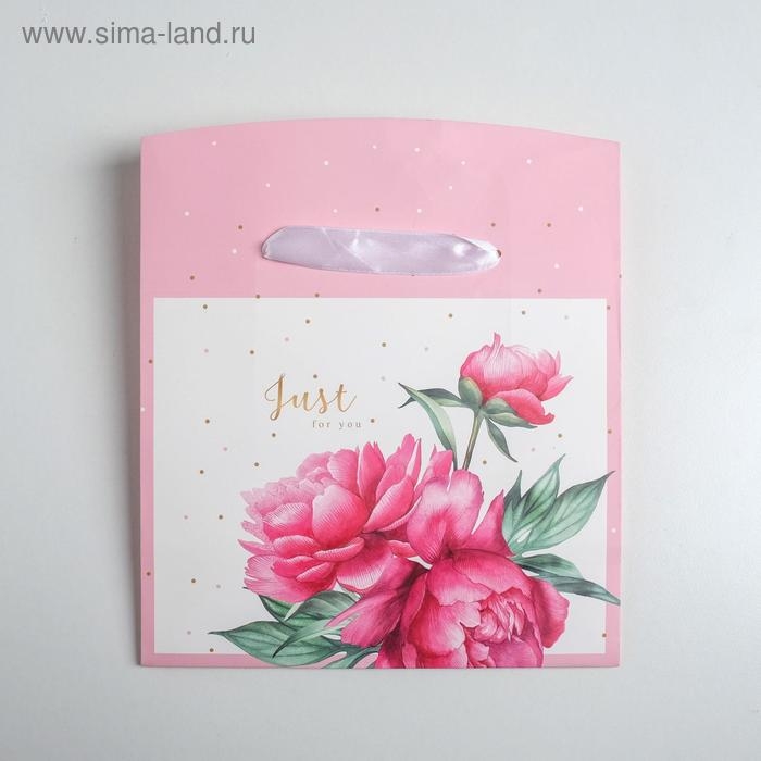 Пакет—коробка, подарочная упаковка, «Just for you», 23 х 18 х 11 см Пакет—коробка, подарочная упаковка, «Just for you», 23 х 18 х 11 см