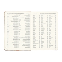 Ежедневник датированный 2025 года A5 168 листов, deVENTE. Expert, интегральная обложка кожзам, карман, перфорация, ляссе, кремовый блок 70 г/м2, серый