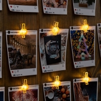 Гирлянда &laquo;Нить&raquo; 2 м роса с насадками &laquo;Прищепки-тыквы&raquo;, IP20, серебристая нить, 20 LED, батарейки ААх2 (нет в копмплекте), свечение тёплое белое