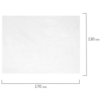 Чистящие салфетки для экранов и пластика, универсальные, &laquo;Астра&raquo;, в тубе 100 штук, влажные