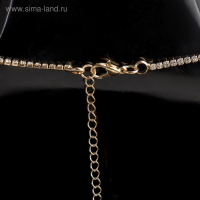 Набор 2 предмета: серьги, колье &laquo;Феникс&raquo; круг, цвет бело-чёрный в золоте, 35 см