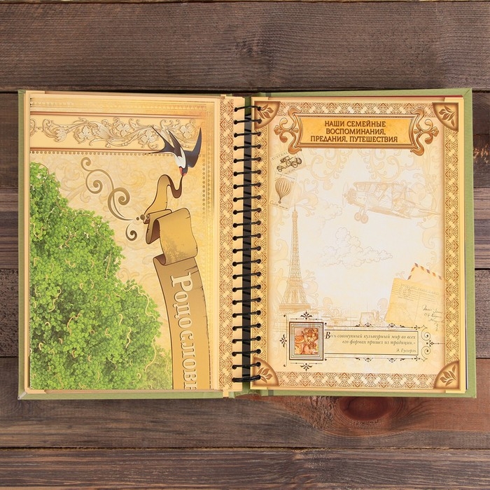 Родословная книга &laquo;Семейная летопись&raquo;, 30 листов, 24,5 х 29,2 см