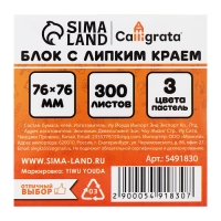 Блок с липким краем 76 мм х 76 мм 300 листов, пастель, 3 цвета Блок с липким краем 76 мм х 76 мм 300 листов, пастель, 3 цвета