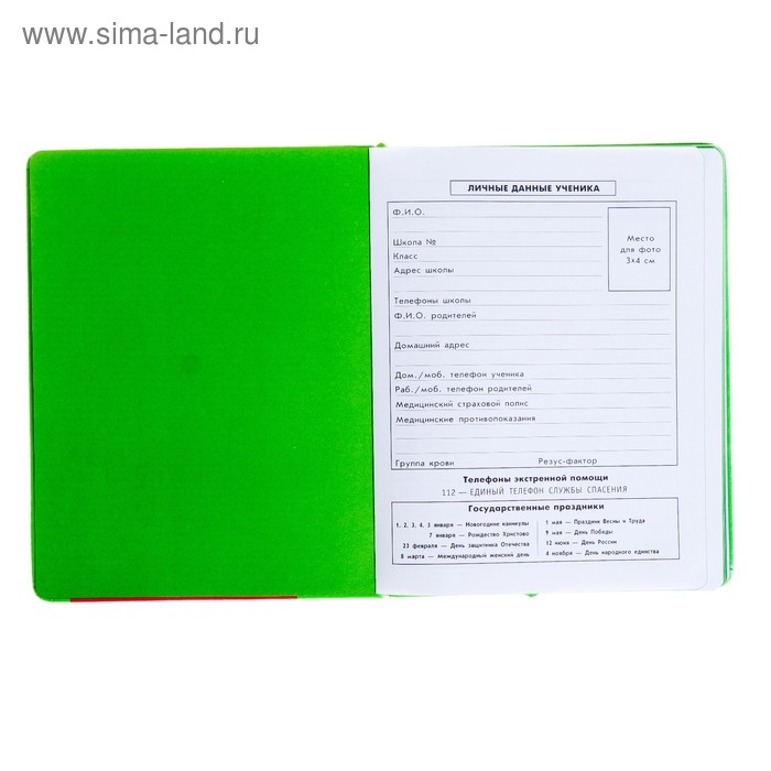 Дневник, универсальный, для 1-11 классов, &laquo;Монстрик в свитере&raquo;, искусственная кожа, поролоновая подкладка, 3D аппликация, 48 листов